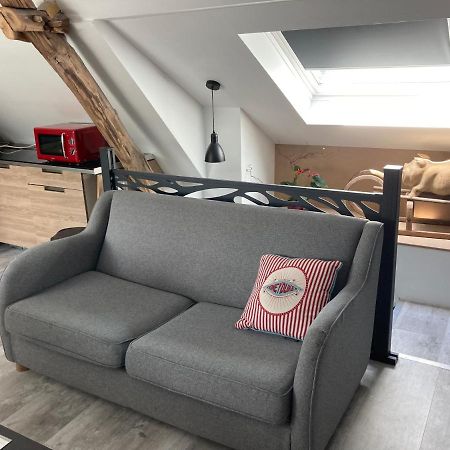 Apartmán Au Cochon Qui Rit Flines-Les-Mortagne Exteriér fotografie