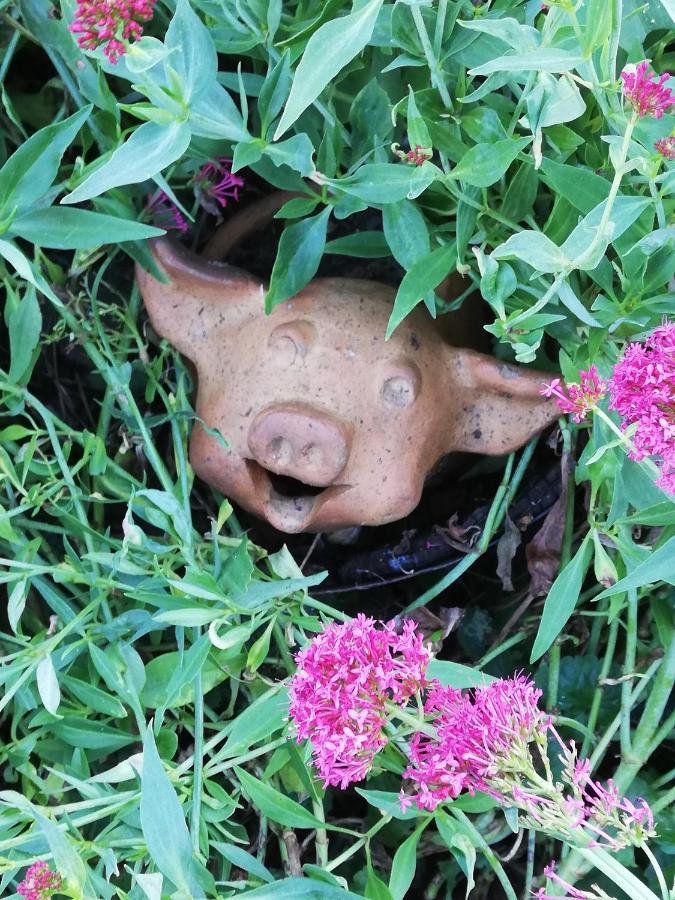 Apartmán Au Cochon Qui Rit Flines-Les-Mortagne Exteriér fotografie