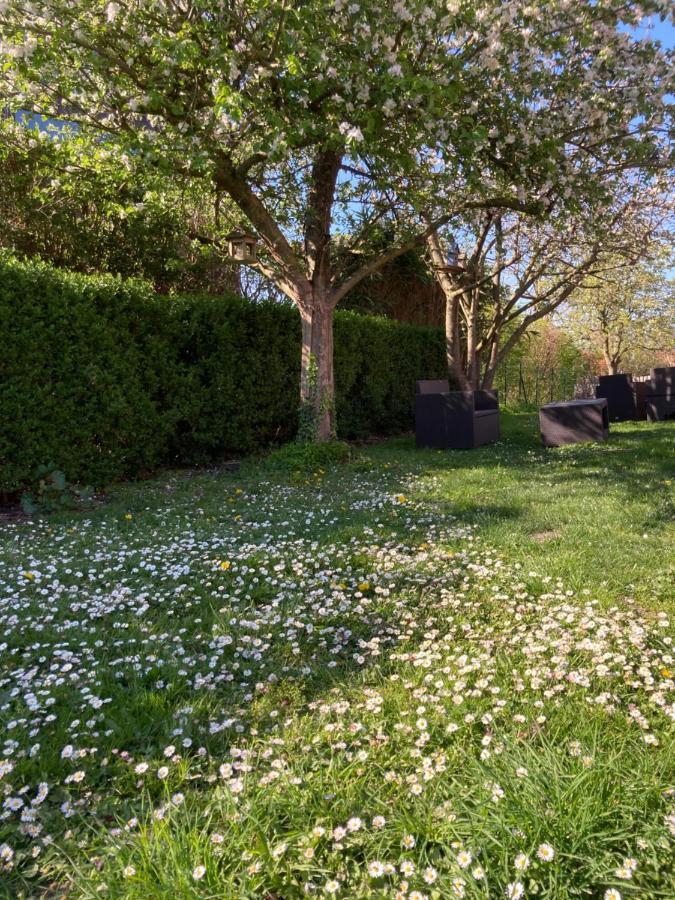 Apartmán Au Cochon Qui Rit Flines-Les-Mortagne Exteriér fotografie